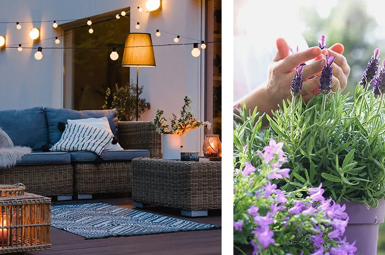 Enhancing wellness through ambiance