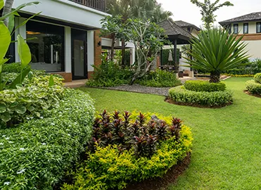 Perennial foliage anchors